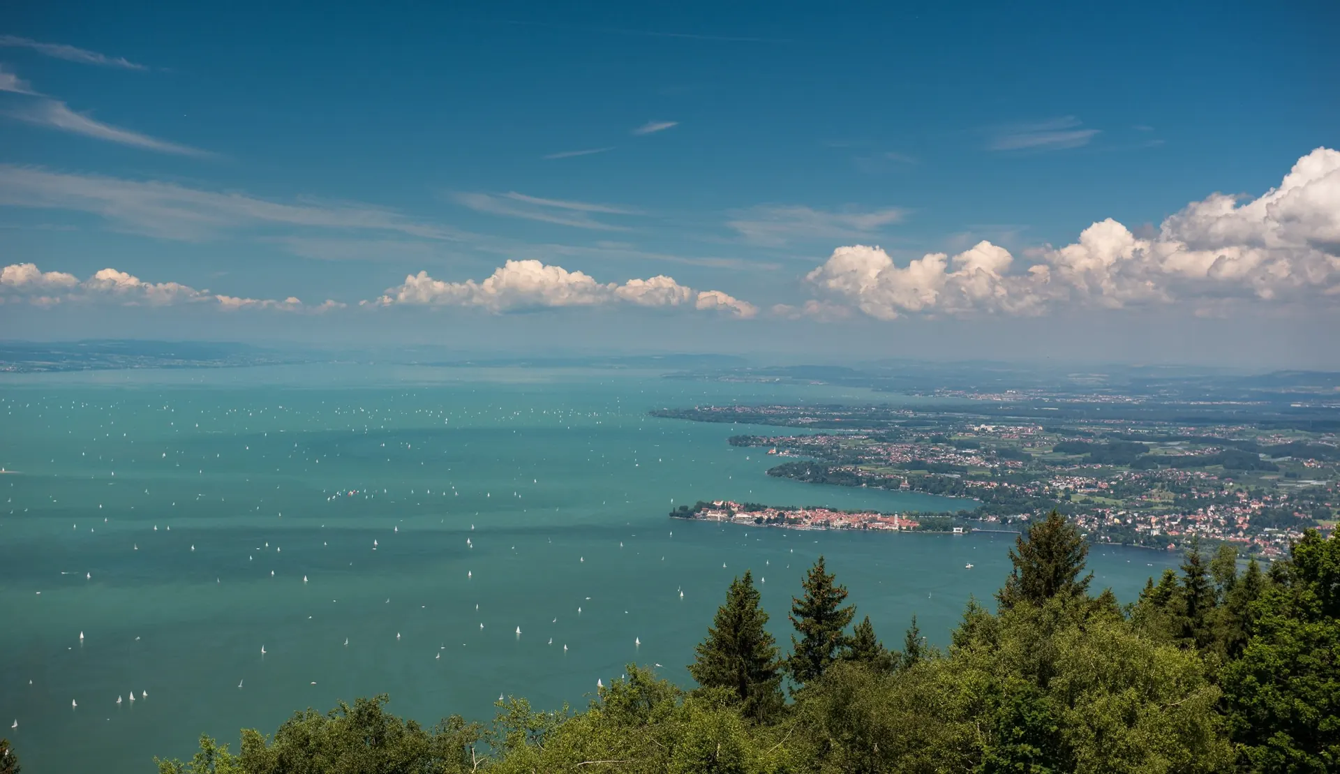Blick über den Bodensee im Sommer